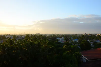 DSC_9749 (Large).JPG